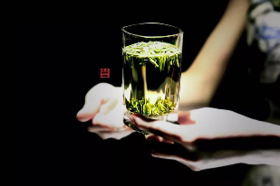 来不来雅安喝茶？回答我！