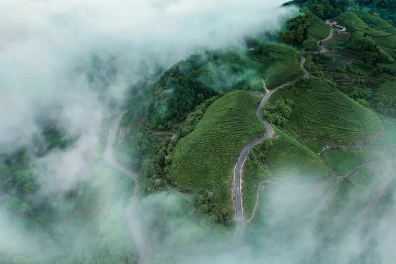 贵州湄潭万亩茶园生态画卷与茶文化魅力 湄潭:贵州高原上的茶叶奇迹