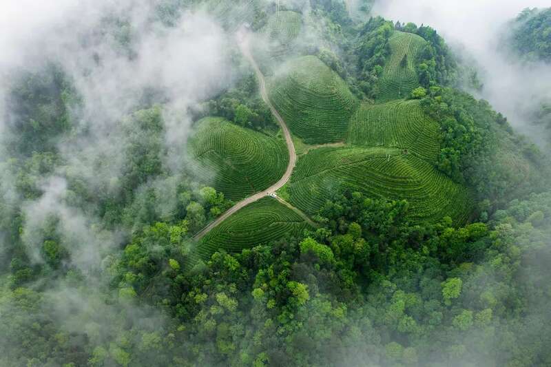 贵州湄潭万亩茶园生态画卷与茶文化魅力 湄潭:贵州高原上的茶叶奇迹
