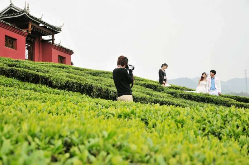 蒸青茶传承保护核心区建设探讨 全国独一份!恩施市成为“蒸青茶传承保护核心区”!