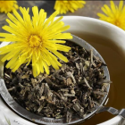 蒲公英茶功效与品质特征解析