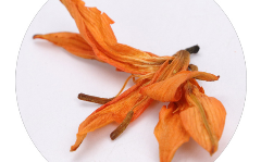 百合花茶.png