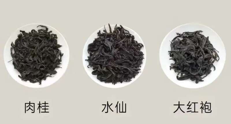 武夷岩茶的品质及加工技术研究进展
