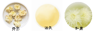 贡菊品质特征.png