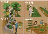 老班章制作工艺1.png