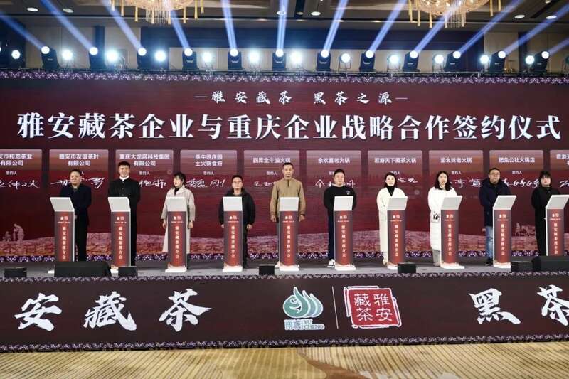 渝见雅安藏茶香:雅安藏茶推介会在重庆成功举办 brand_alt_mark