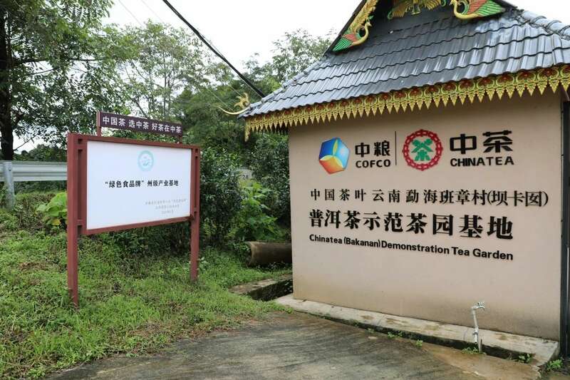 新式茶饮,新动能 —— 中茶云南科技茶产品发布会圆满成功 brand_alt_mark