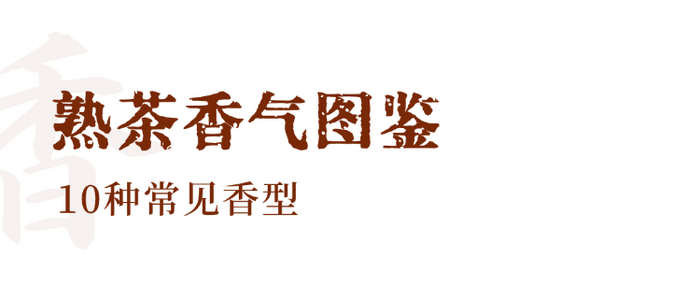 解码熟普香气图鉴 读懂经典【陈香】 解码熟普香气图鉴 读懂经典【陈香】