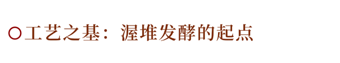 解码熟普香气图鉴 读懂经典【陈香】 解码熟普香气图鉴 读懂经典【陈香】