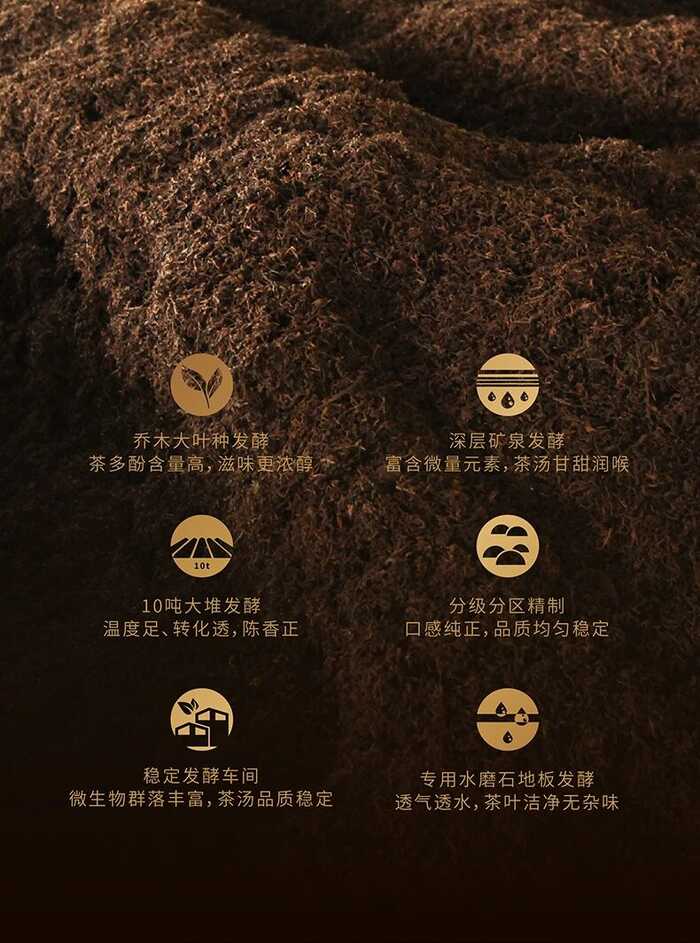 解码熟普香气图鉴 读懂经典【陈香】 解码熟普香气图鉴 读懂经典【陈香】