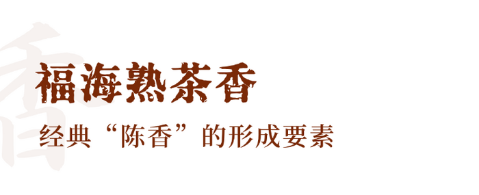 解码熟普香气图鉴 读懂经典【陈香】 解码熟普香气图鉴 读懂经典【陈香】
