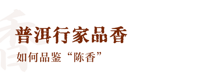 解码熟普香气图鉴 读懂经典【陈香】 解码熟普香气图鉴 读懂经典【陈香】