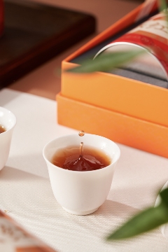 柑馨甜饴,茶醇润养 大益 大红柑润养茶礼上新 brand_alt_mark