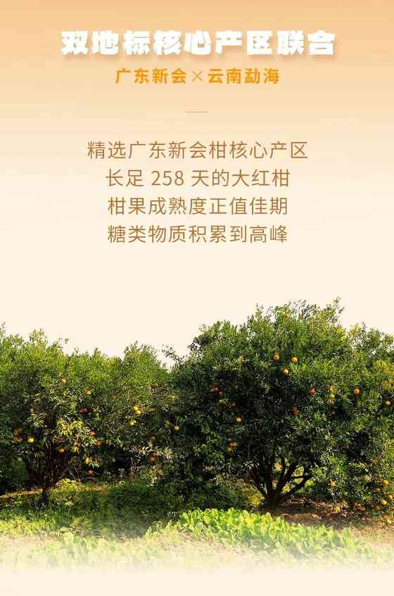 柑馨甜饴,茶醇润养 大益 大红柑润养茶礼上新 brand_alt_mark