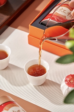 柑馨甜饴,茶醇润养 大益 大红柑润养茶礼上新 brand_alt_mark