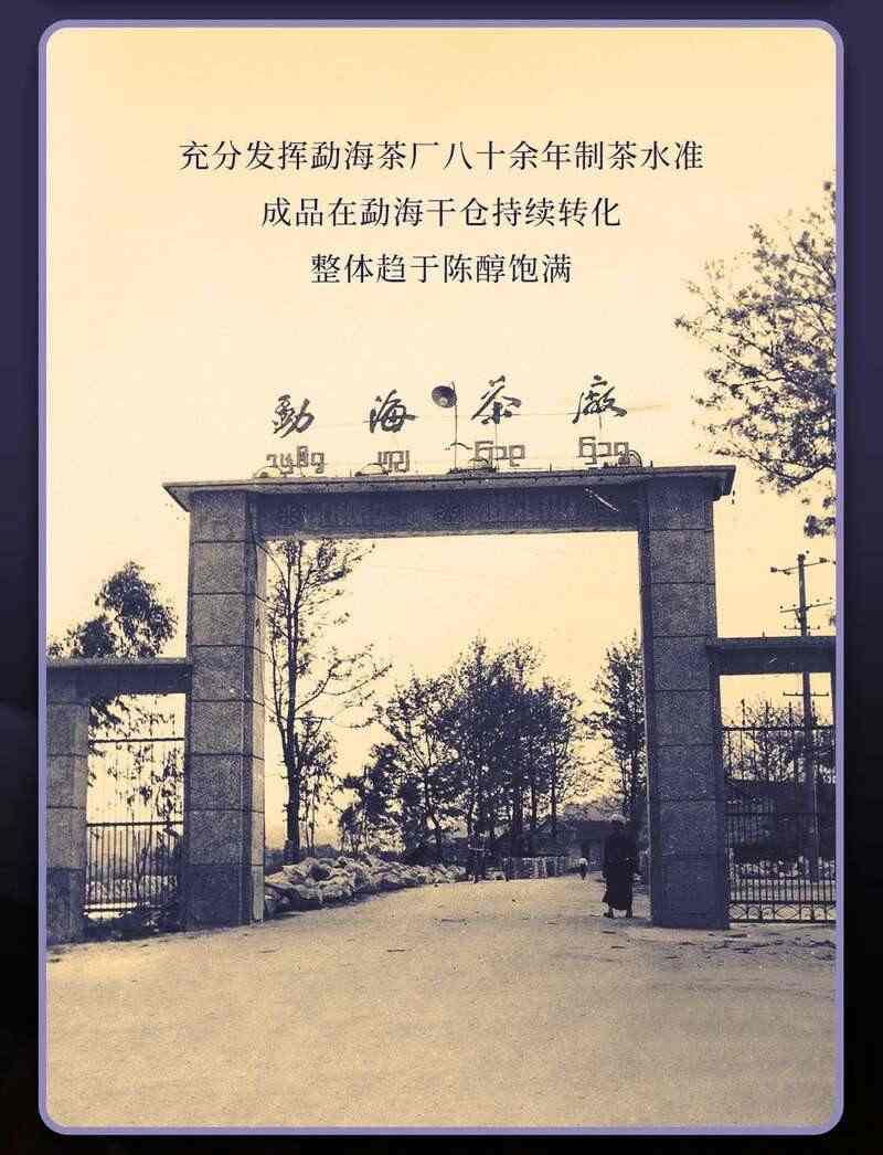 金蛇盘锦岁,纳福璇新途 大益盘锦璇金贺岁茶礼上新 brand_alt_mark