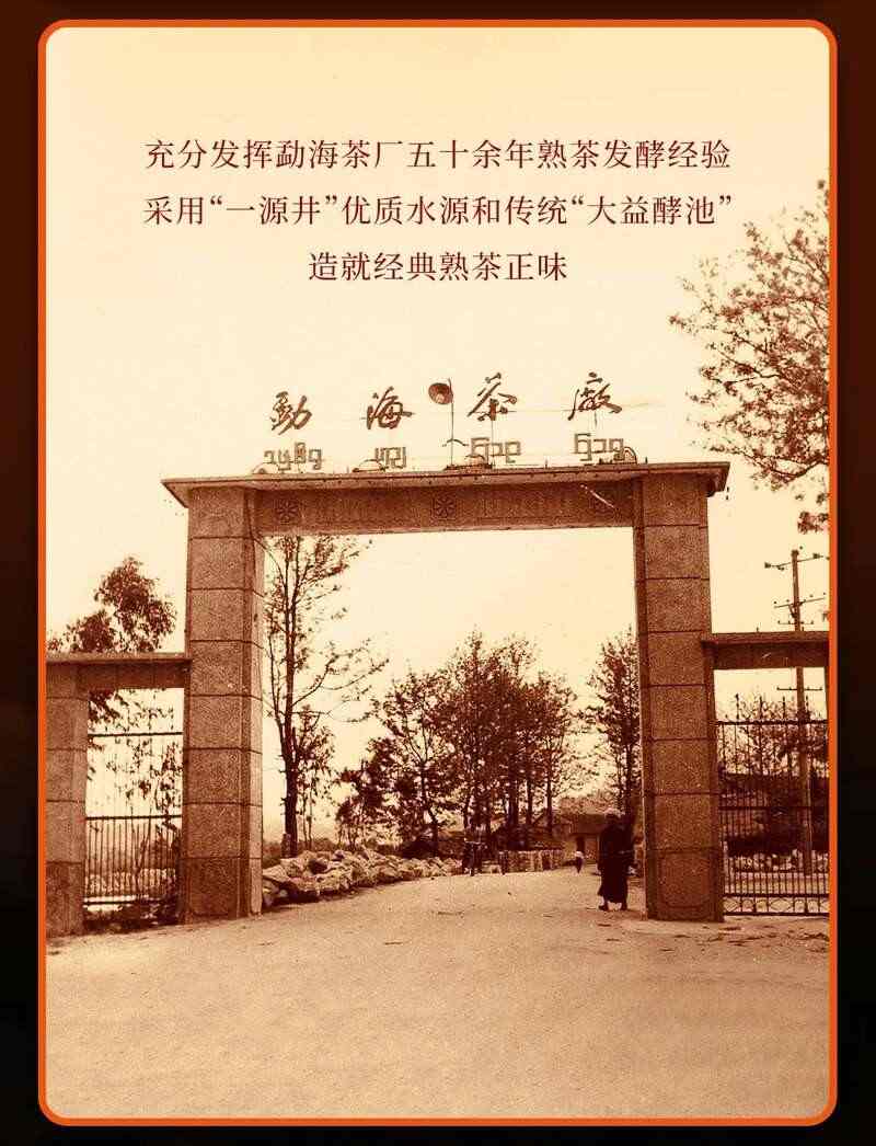 金蛇盘锦岁,纳福璇新途 大益盘锦璇金贺岁茶礼上新 brand_alt_mark