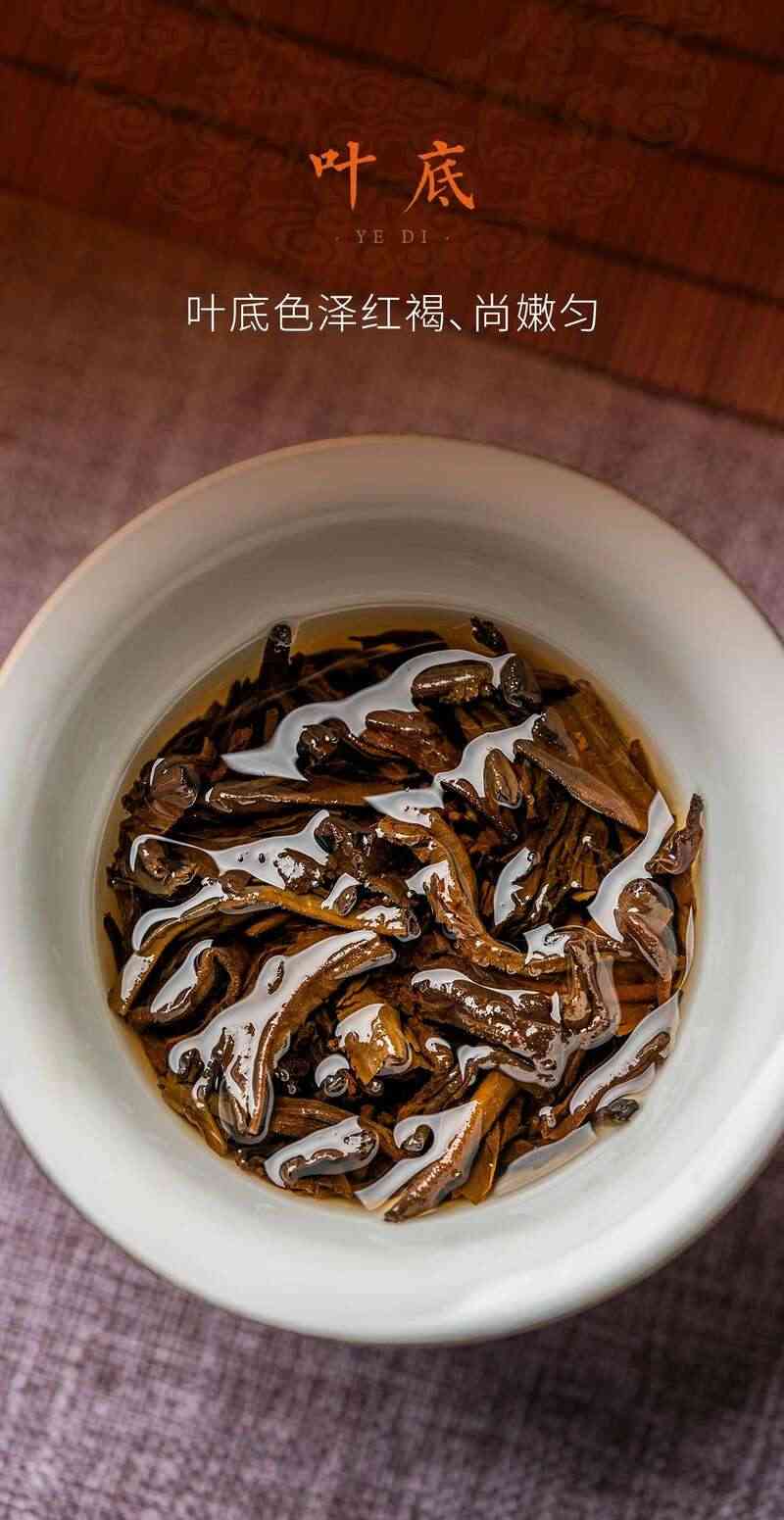 启岁迎祥,百福臻至 大益福庆有余 新年茶礼上新 brand_alt_mark