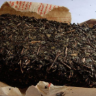 湖南黑茶特点与品饮指南