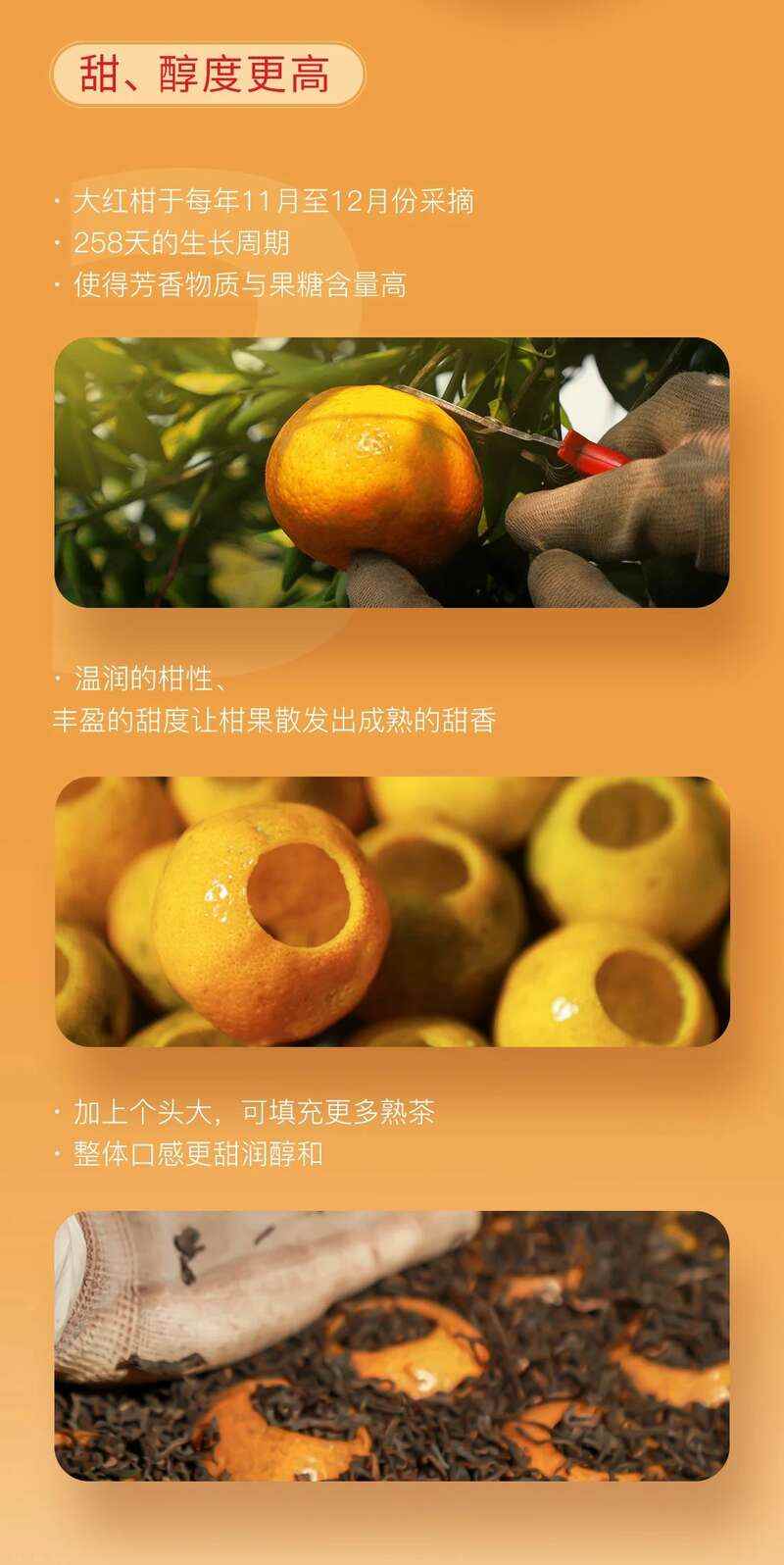 大红柑礼盒 越陈越香甜润醇和 brand_alt_mark