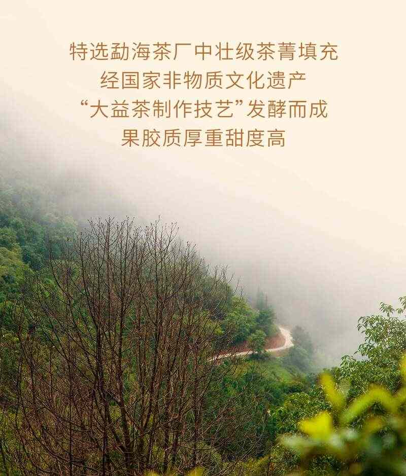 大红柑礼盒 越陈越香甜润醇和 brand_alt_mark