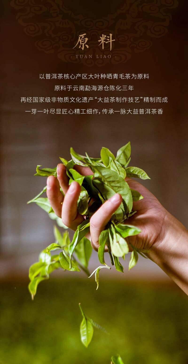 福庆有余茶礼盒 传统吉祥元素设计年味普洱 brand_alt_mark