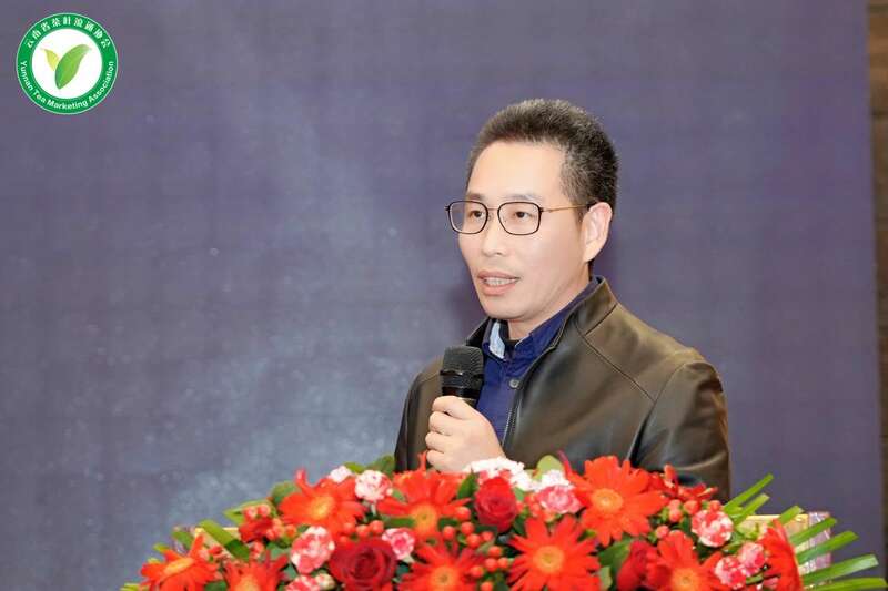 云南茶产业大会聚焦专业委员会成立与发展机遇 brand_alt_mark