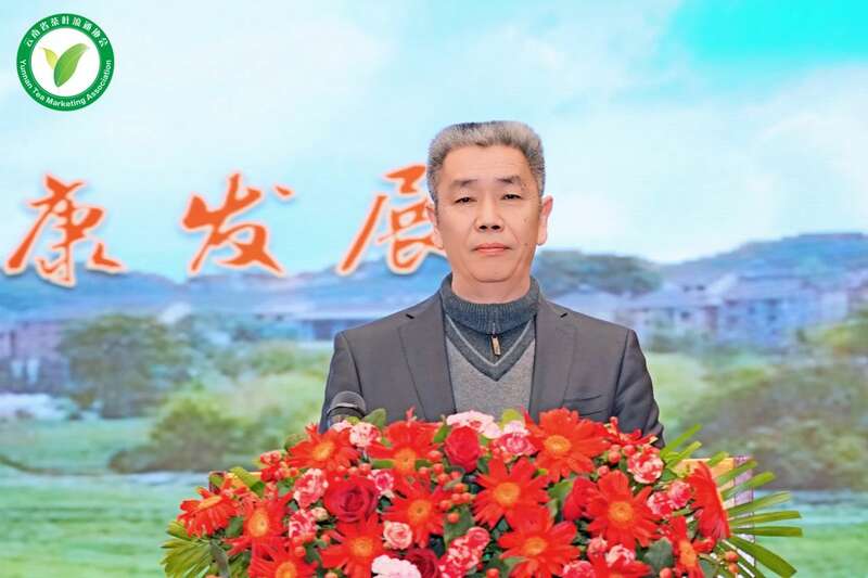 云南茶产业大会聚焦专业委员会成立与发展机遇 brand_alt_mark