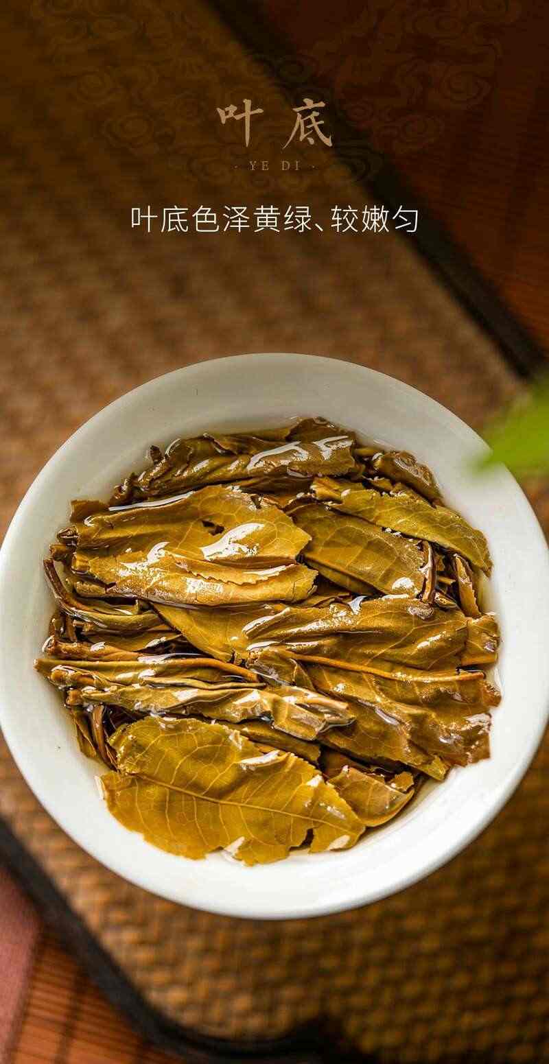 福庆有余茶礼盒 传统吉祥元素设计年味普洱 brand_alt_mark