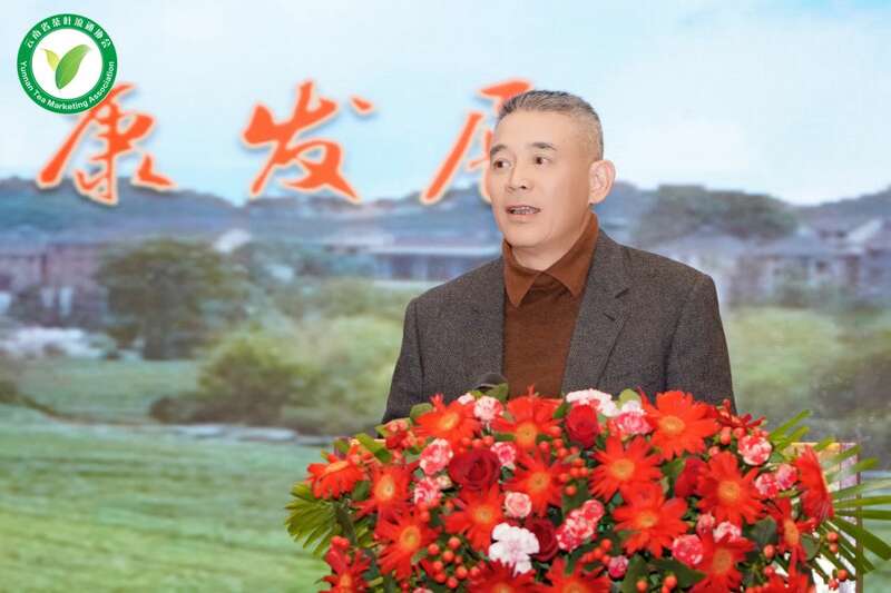 云南茶产业大会聚焦专业委员会成立与发展机遇 brand_alt_mark