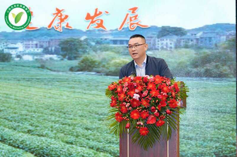 云南茶产业大会聚焦专业委员会成立与发展机遇 brand_alt_mark