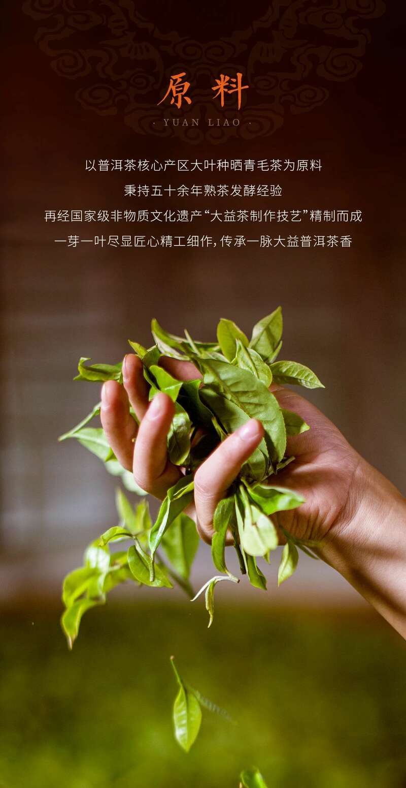 福庆有余茶礼盒 传统吉祥元素设计年味普洱 brand_alt_mark