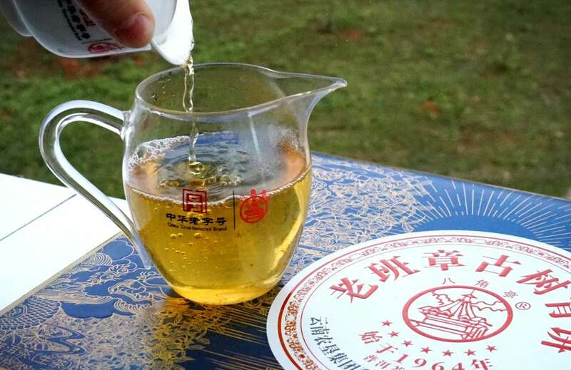 老班章古树青饼纪念版:茶界巅峰之作,传承六十年品质 brand_alt_mark