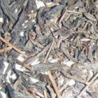霍山黄大茶工艺与品鉴全解析