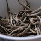 广东大叶青黄茶制作工艺与品质特征