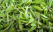 海马宫茶.png 海马宫茶.png