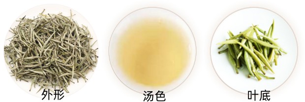 踏雪兰妃品质特征.jpg 踏雪兰妃品质特征.jpg