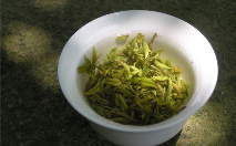 莫干黄芽.png 莫干黄芽.png