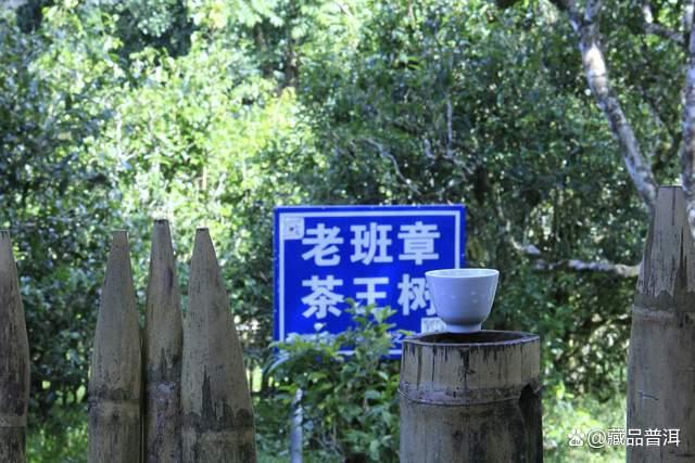 老班章普洱茶发展历程与品鉴指南