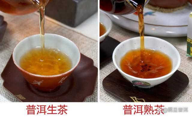 普洱生茶熟茶如何区分:发酵工艺与特点详解 普洱生茶熟茶如何区分:发酵工艺与特点详解