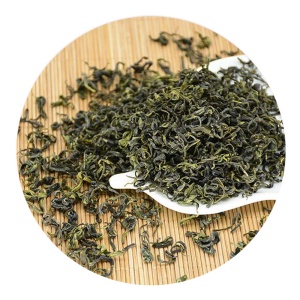 诸城绿茶的外形.jpg 诸城绿茶的外形.jpg