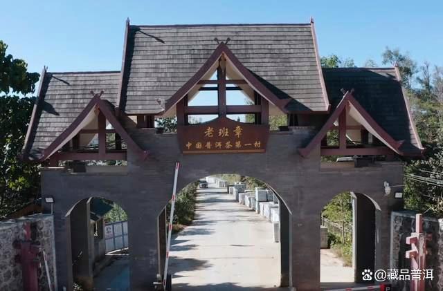 陈升号四大名山：班章、南糯、那卡、易武，口感特色如何？详解！