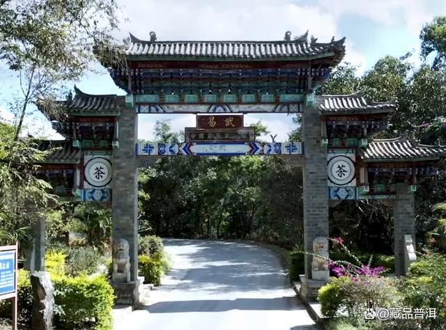 陈升号四大名山：班章、南糯、那卡、易武，口感特色如何？详解！