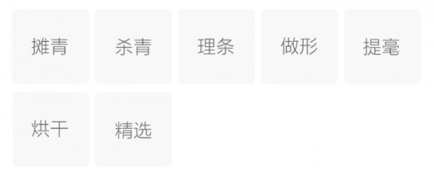 宁强雀舌的制作工艺.jpg