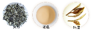 月光白外形.png 月光白外形.png
