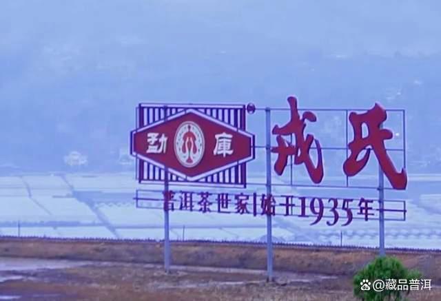 临沧霸主勐库茶魂：勐库大叶种经典茶品解析