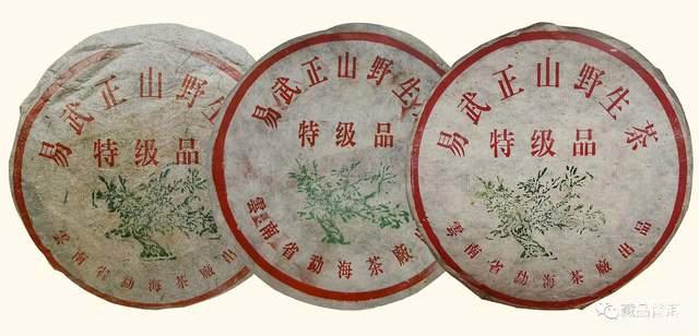99绿大树蓝黑紫红红票区分全解析