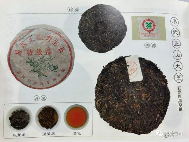 99绿大树蓝黑紫红红票区分全解析