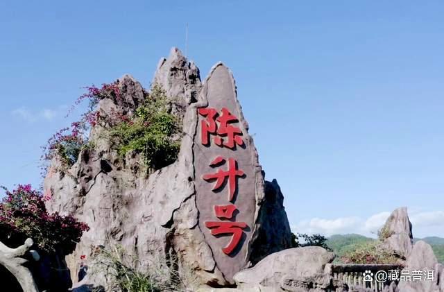 陈升号老班章1000克茶砖：稀缺收藏价值解析