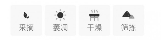 松溪小白茶制作工艺.png